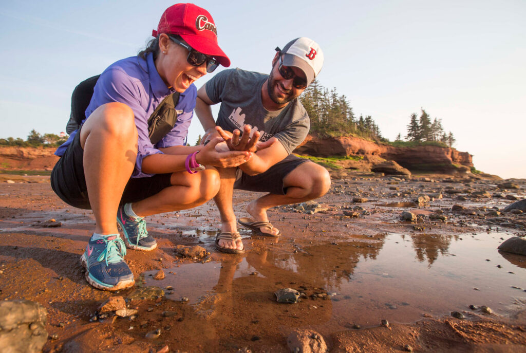 Two tourists, a man and woman exploring periwinkles and rocks, picked up on the Atlantic Ocean’s floor under the Bay of Fundy at low tides. The tourists are exploring the organism at Burntcoat Head Park in Nova Scotia, Canada.