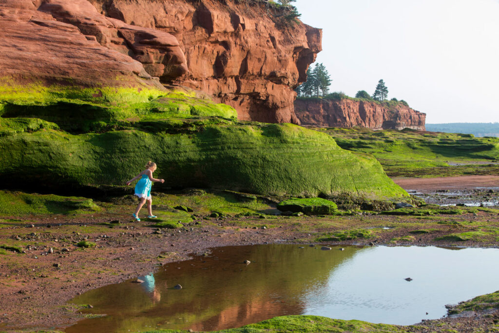 A young girl in a blue dress skipping along the shoreline on the edge of the Bay of Fundy’s bare green and brown cliffs during low tides at Burntcoat Head Park in Nova Scotia, Canada during Family Ocean Floor Tours.
