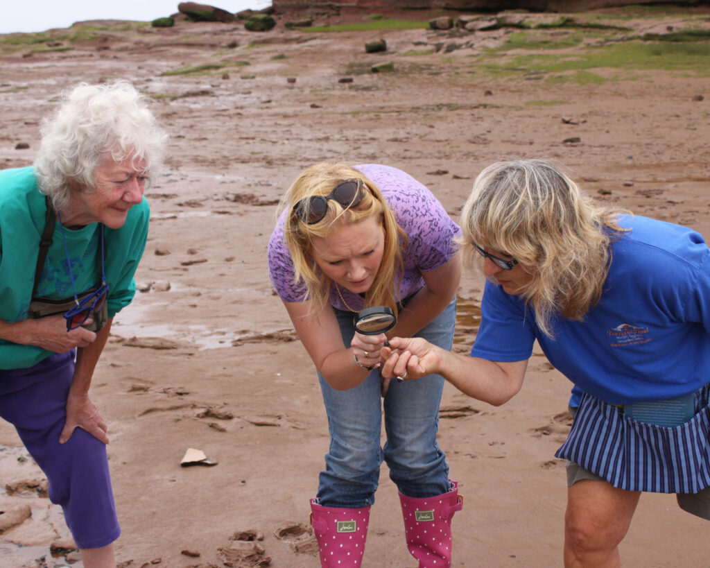 A young blonde tourist holding a magnifying glass while two other tourist women are holding a periwinkle picked up on the Atlantic Ocean’s floor under the Bay of Fundy at low tides. The tourists are exploring the organism at Burntcoat Head Park in Nova Scotia, Canada.